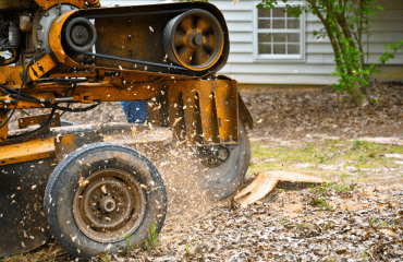 Tree Stump Grinding