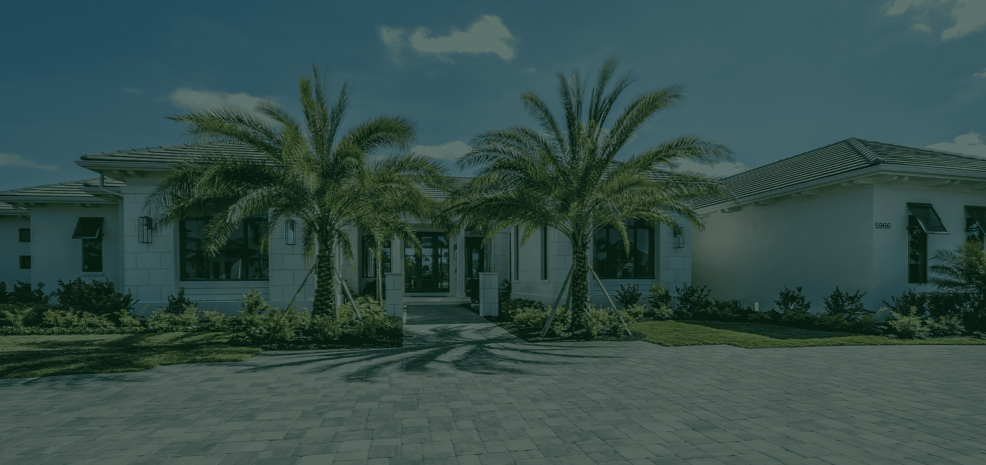 South Orange County Tree Care | Coastal Arbor Tree Service